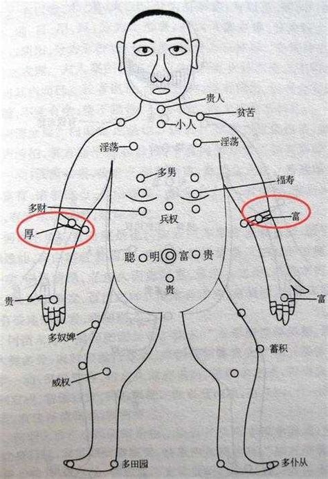 左臂有痣|痣的位置透露出這些訊息！上手臂有痣不乏追求者、手。